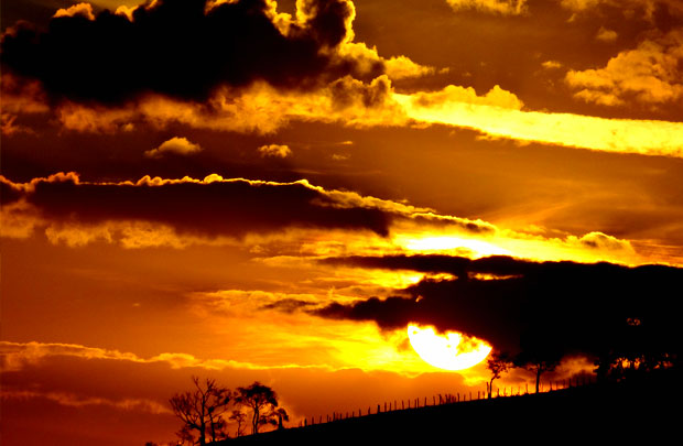 drug addiction treatment