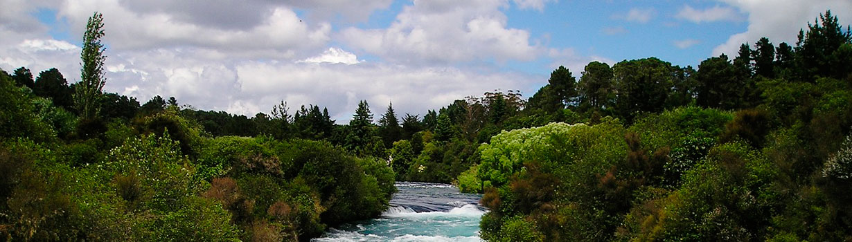 benzo withdrawal treatment