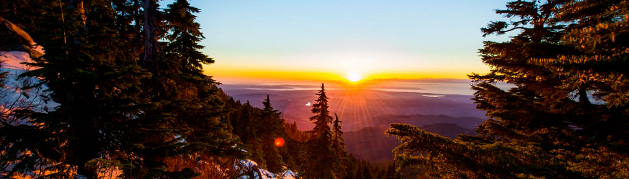 drug amd alcohol treatment