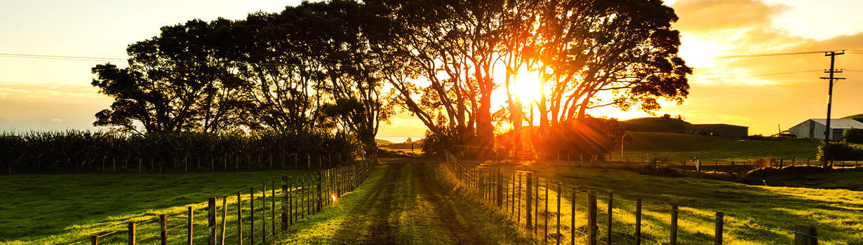 opiate addiction treatment centers