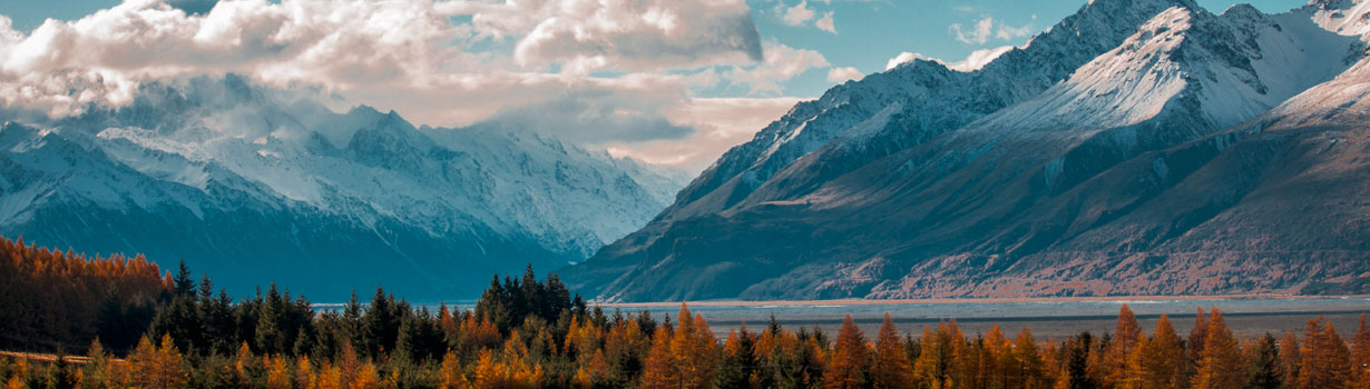 prescription drugs addiction treatment