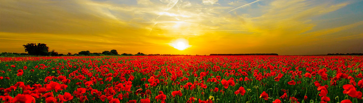 drug rehab treatment centers